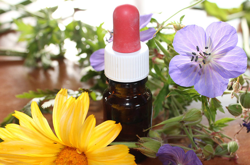 Farmacia_Poggio_Berni_Reparti_omeopatia_fitoterapia